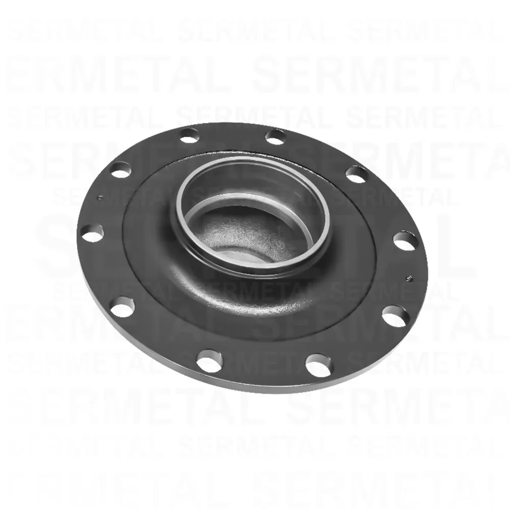 2006 - Rear Axle Wheel Hub